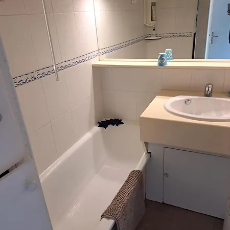 Appartement Alhambra, Pour 4 Personnes Avec Parking, Piscine, Clim Agde