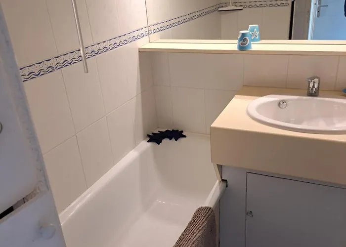 Lägenhet Alhambra, Pour 4 Personnes Avec Parking, Piscine, Clim Agde