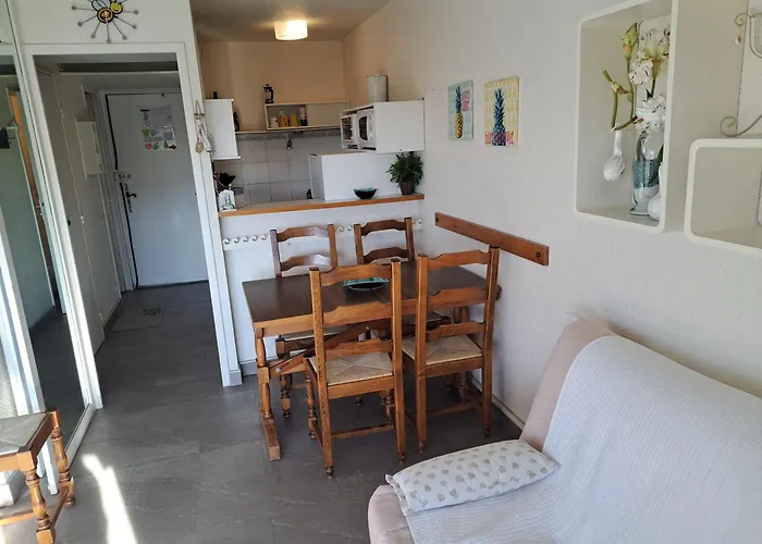 Apartment Alhambra, Pour 4 Personnes Avec Parking, Piscine, Clim Agde